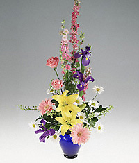 Mixed Arrangement