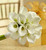 White Mini Calla Lily Bouquet