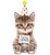 Cue the Catfetti Birthday Balloon - 36"