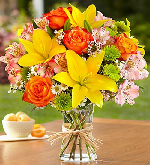 Fields of Europe™ - Large 90977L