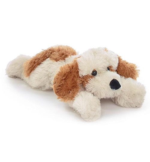 Cream & Light Brown Lying Puppy