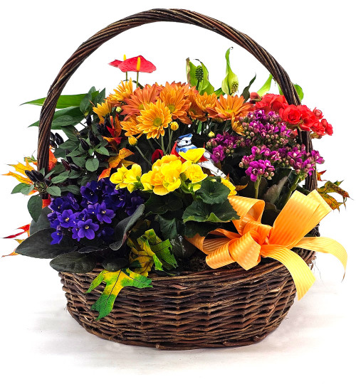 Autumn Splendor Planted Basket