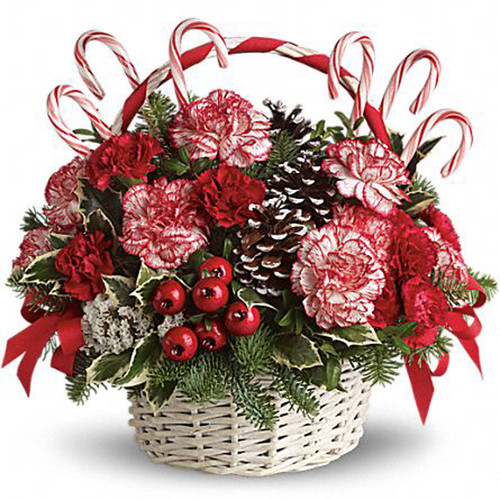 Candy Cane Christmas