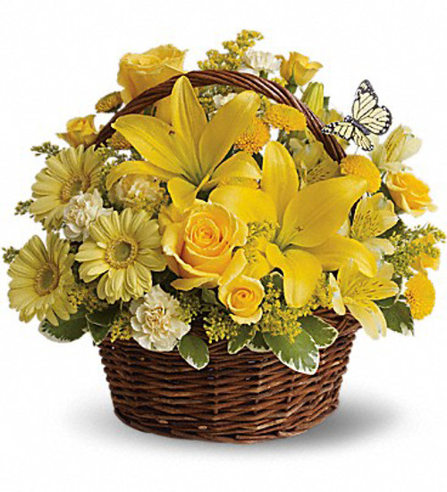 Basket Full of Wishes