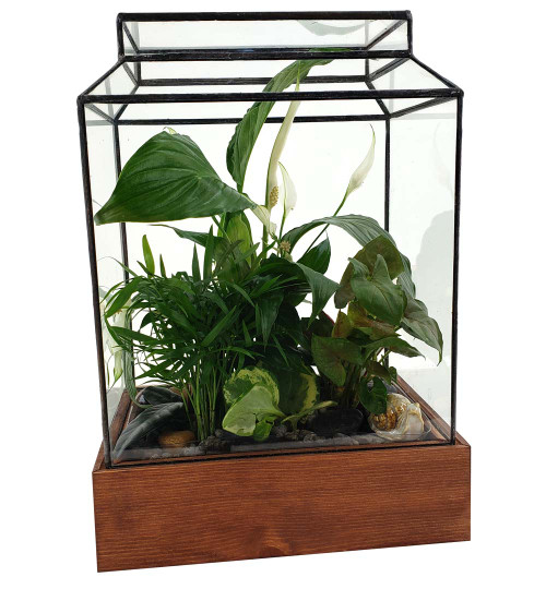 The Ward Terrarium