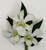 Create a Custom Dendrobium Orchid Boutonniere (Select Color)