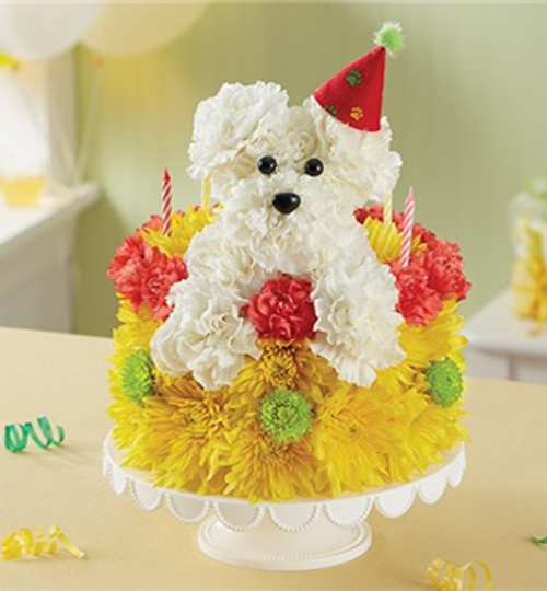 Birthday Wishes Flower Cake™ Pupcake™