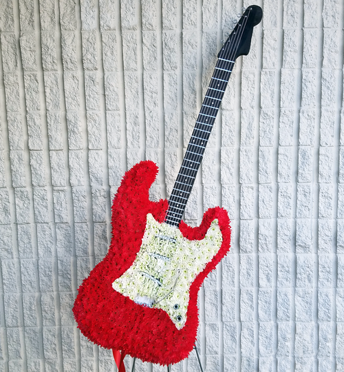 Fender Stratocaster Inspired Spray