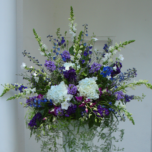 Special Thoughts (SA2037)