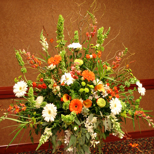 Gerbera Garden (SA2046)