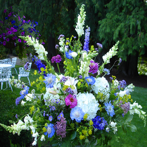 Butterfly Garden (SA2047)